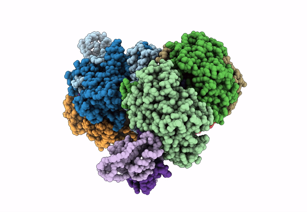 6B48 image