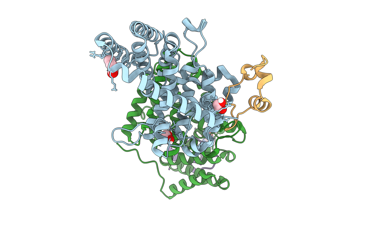 6B4E image