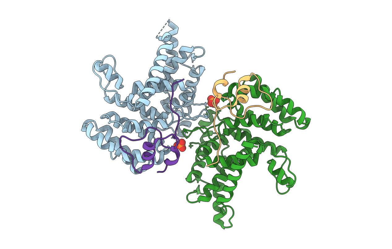 6B4F image