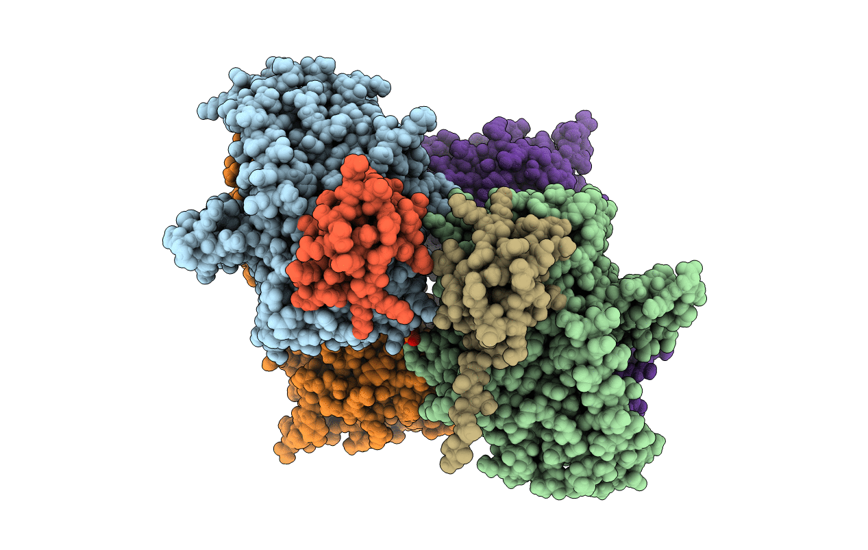 6B4J image