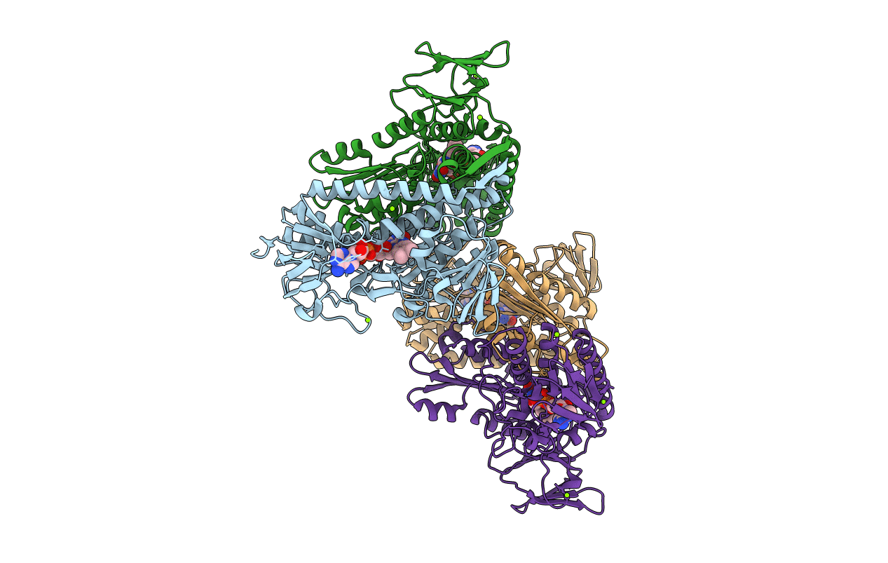 6B4O image