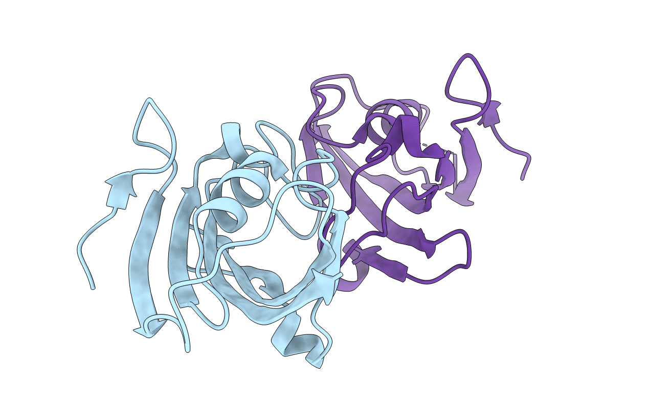 6B4P image