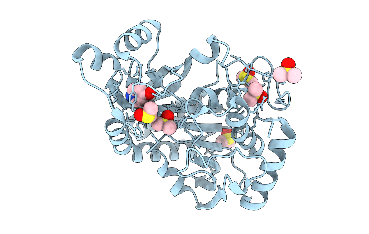 6B4Q image