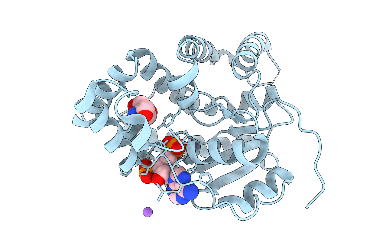 6B4X image