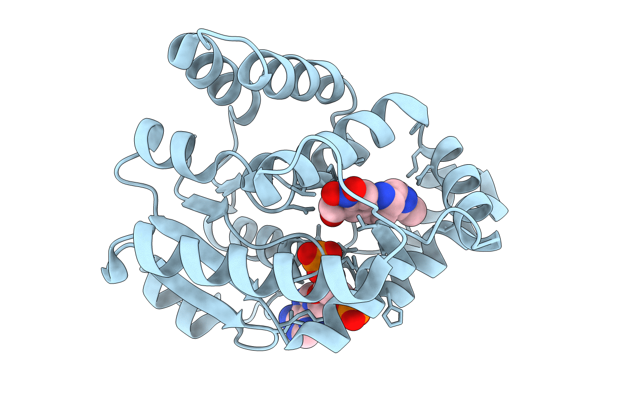 6B52 image
