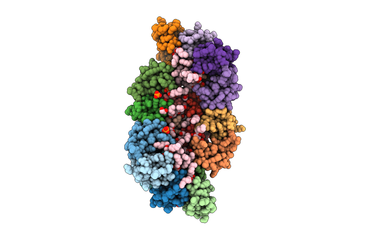 6B55 image