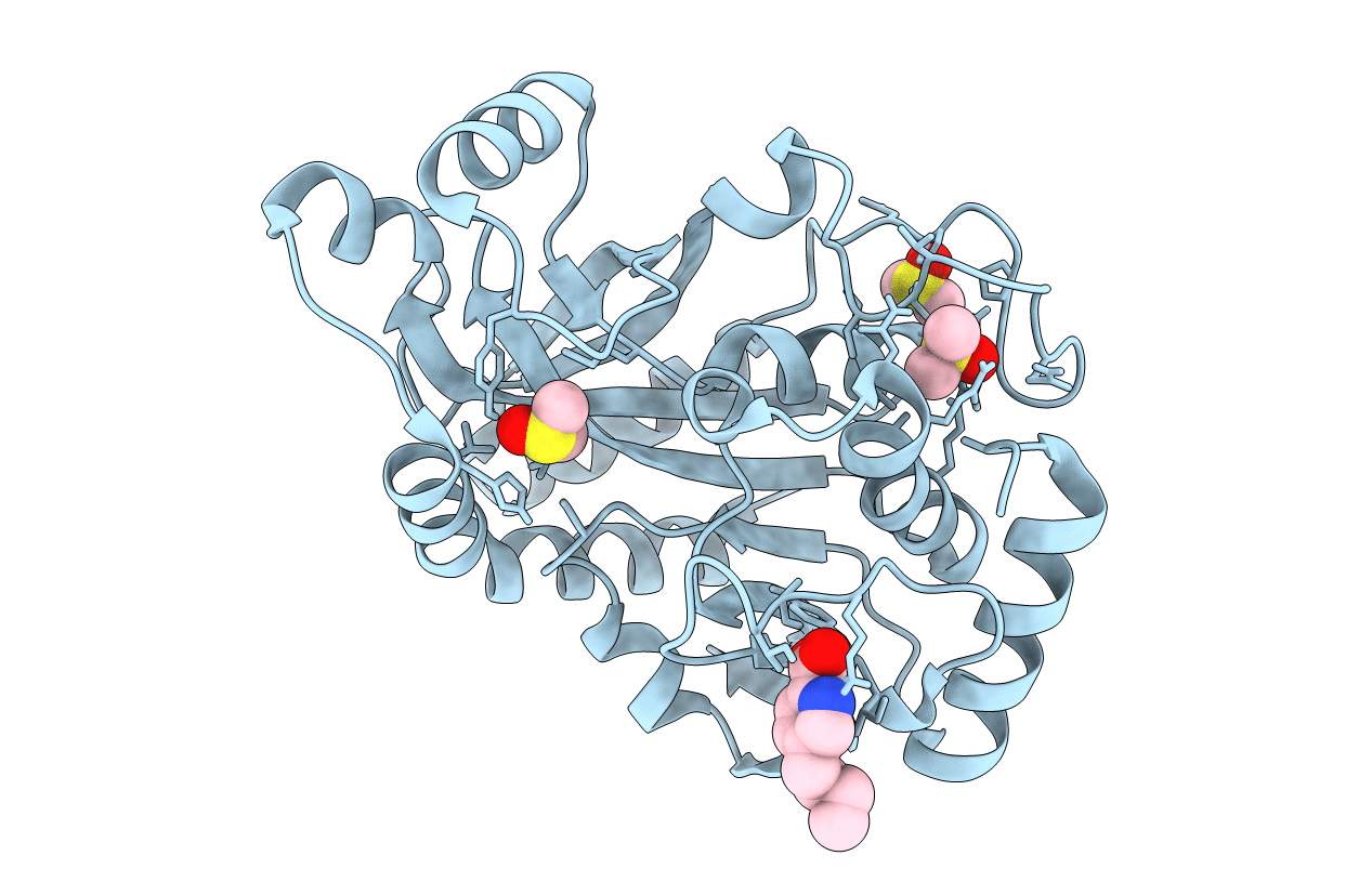 6B56 image