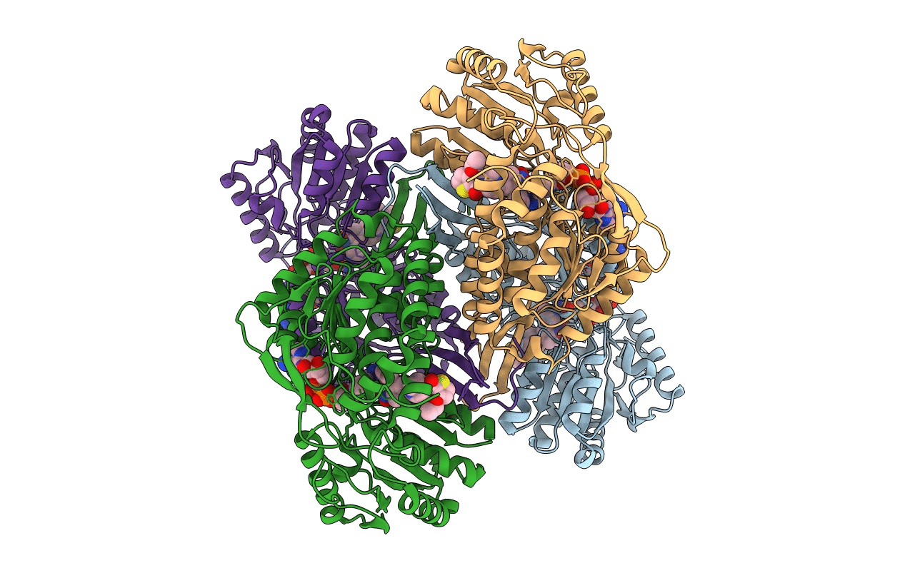 6B5G image