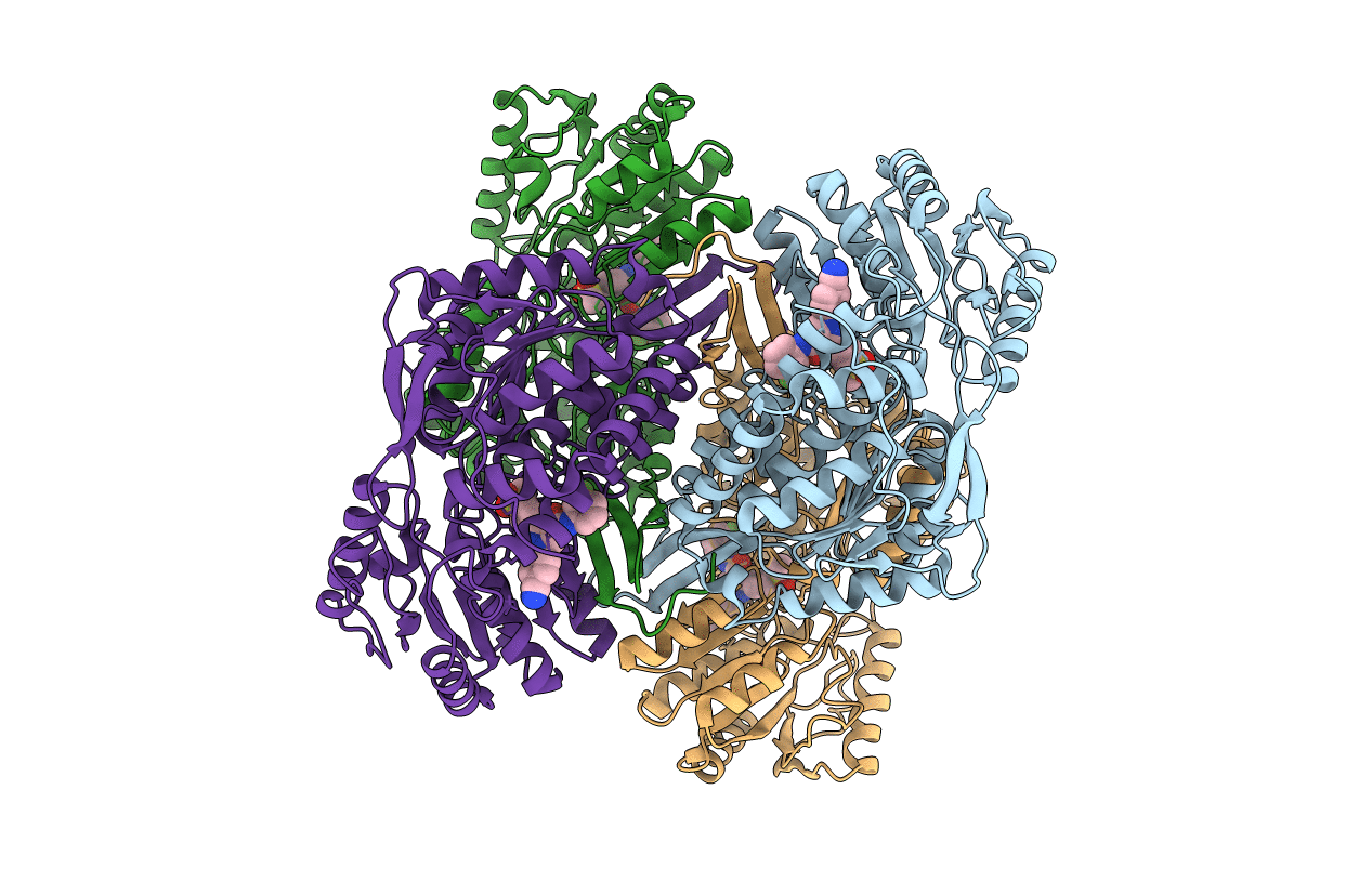 6B5I image
