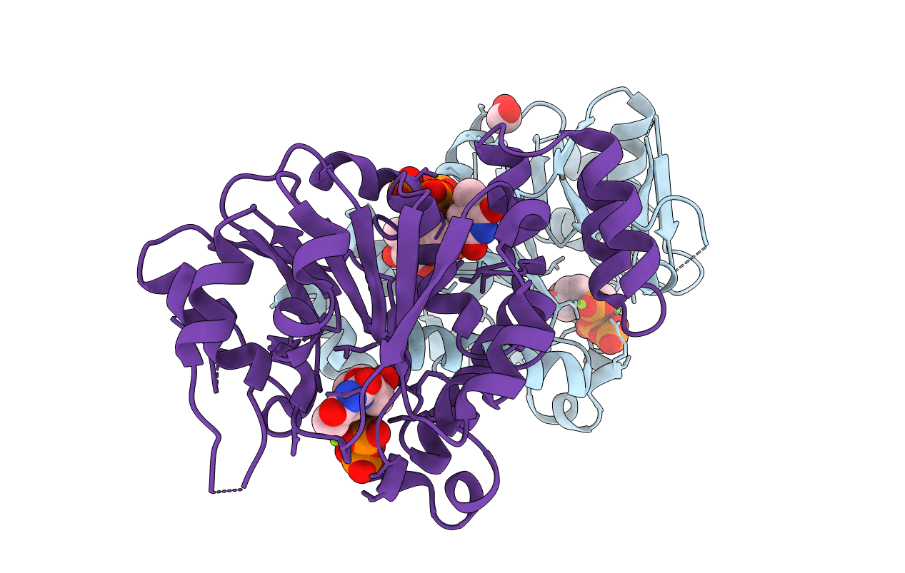 6B5K image