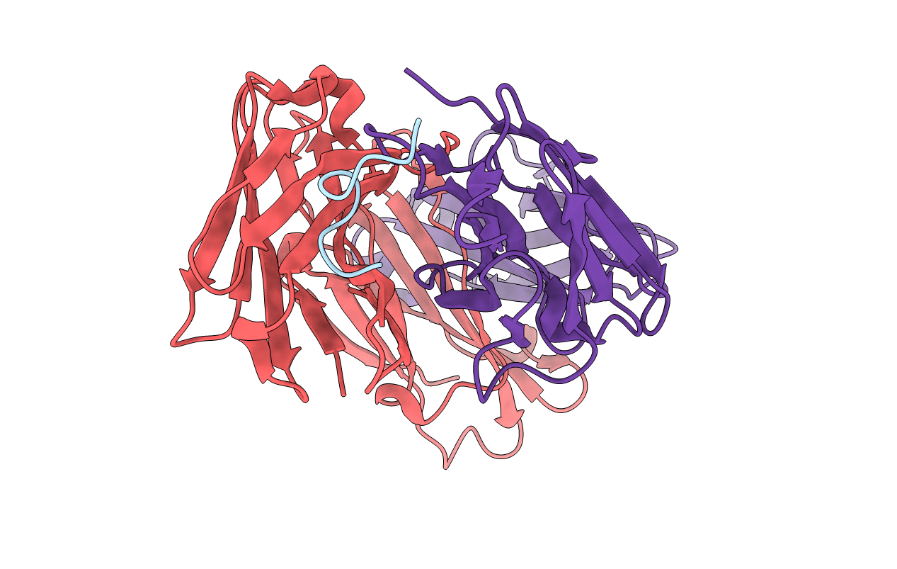 6B5L image