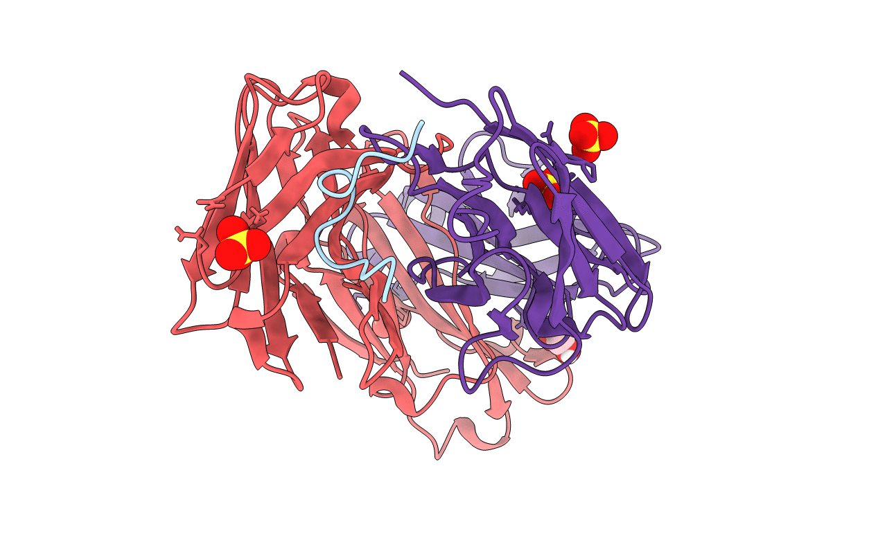 6B5M image