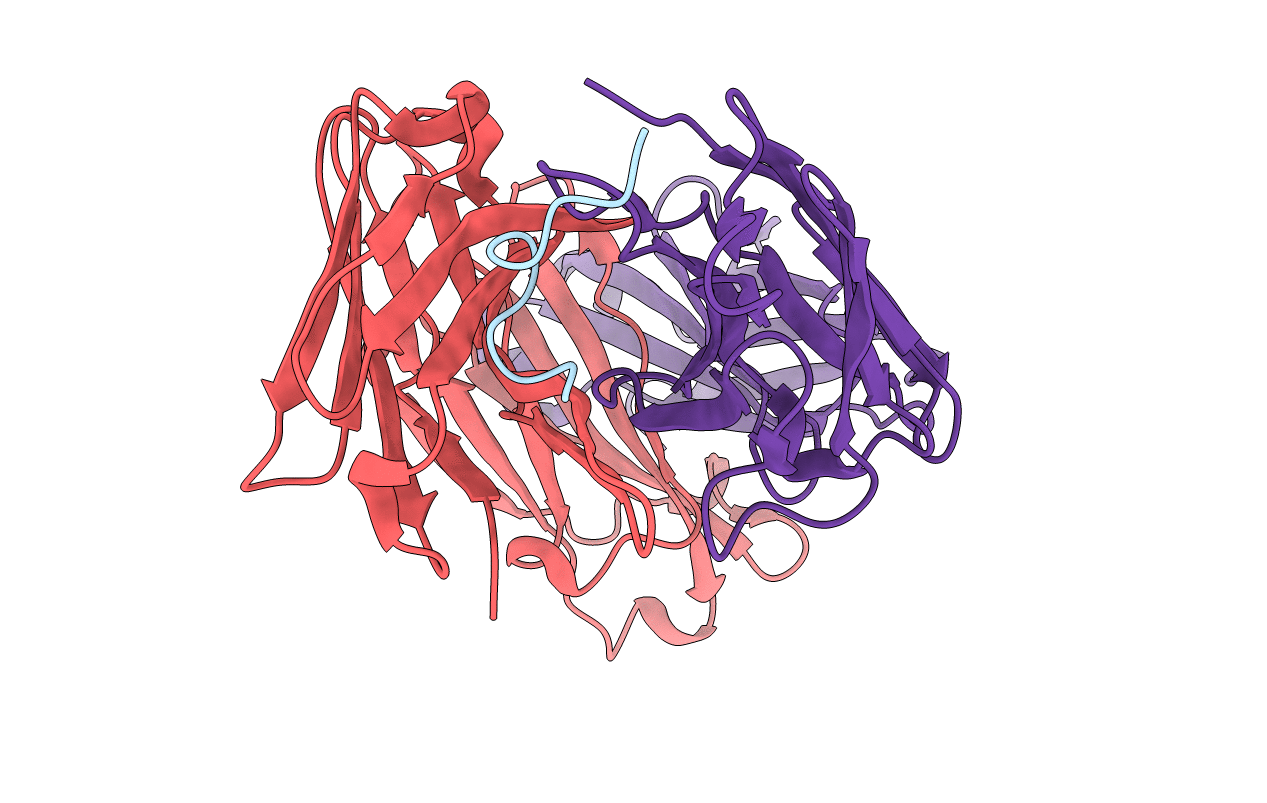 6B5N image