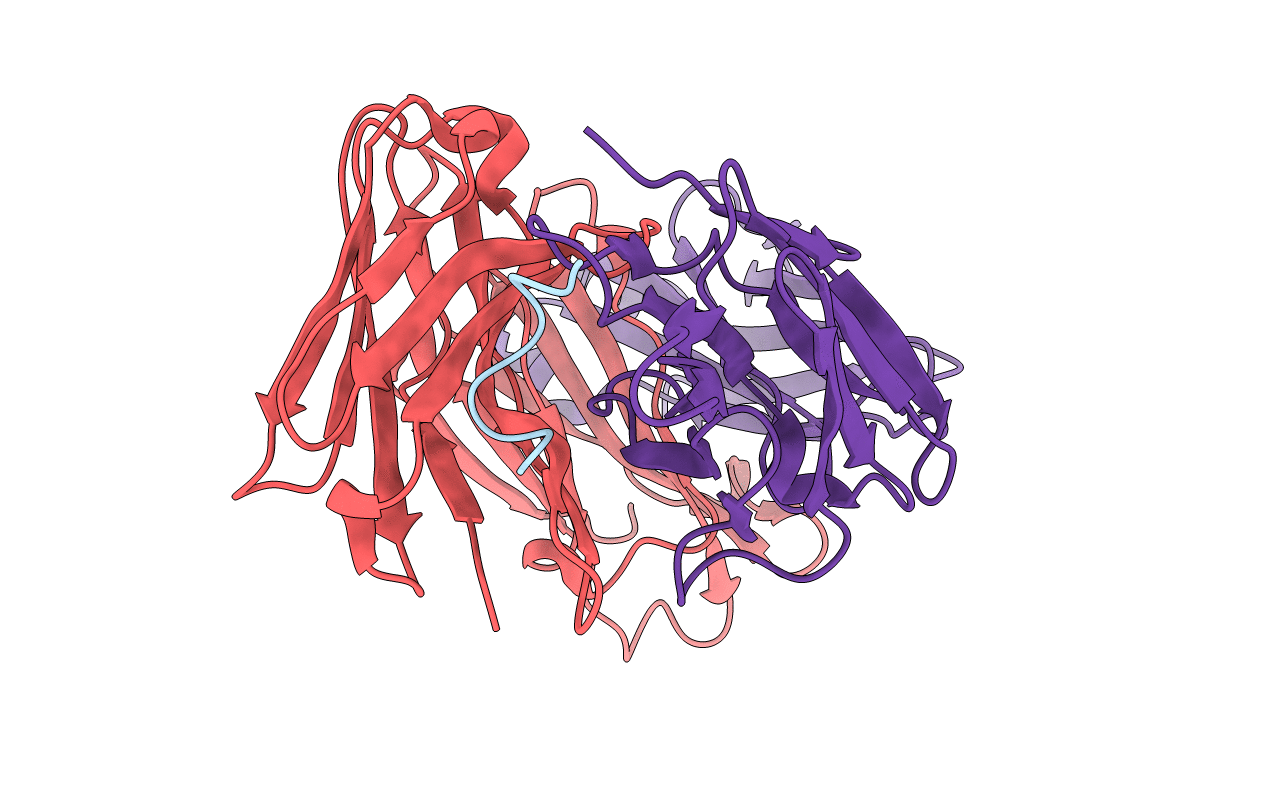 6B5O image