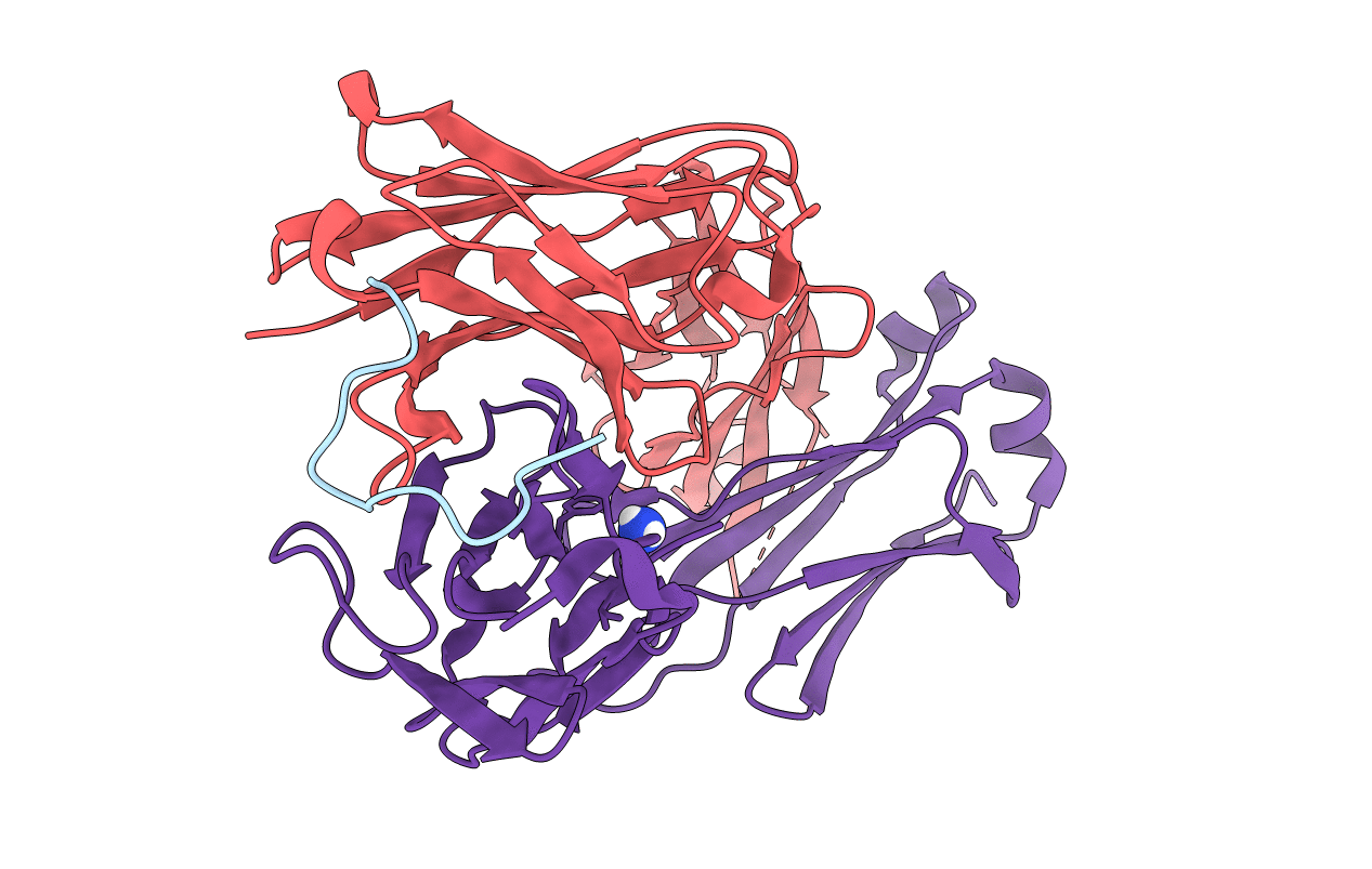 6B5T image