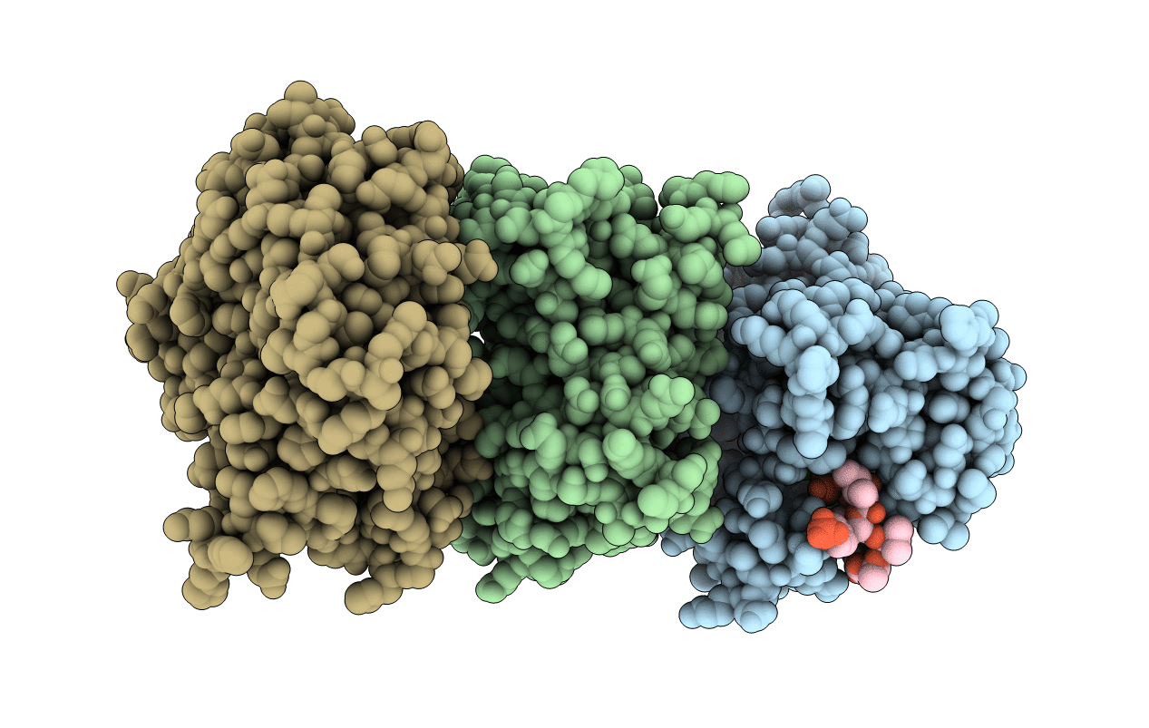 6B67 image