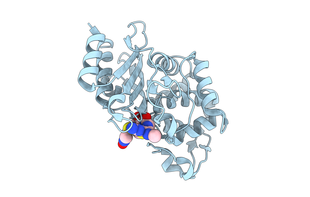 6b6c image