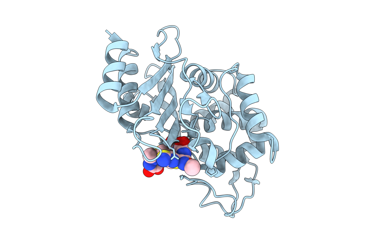 6b6d image