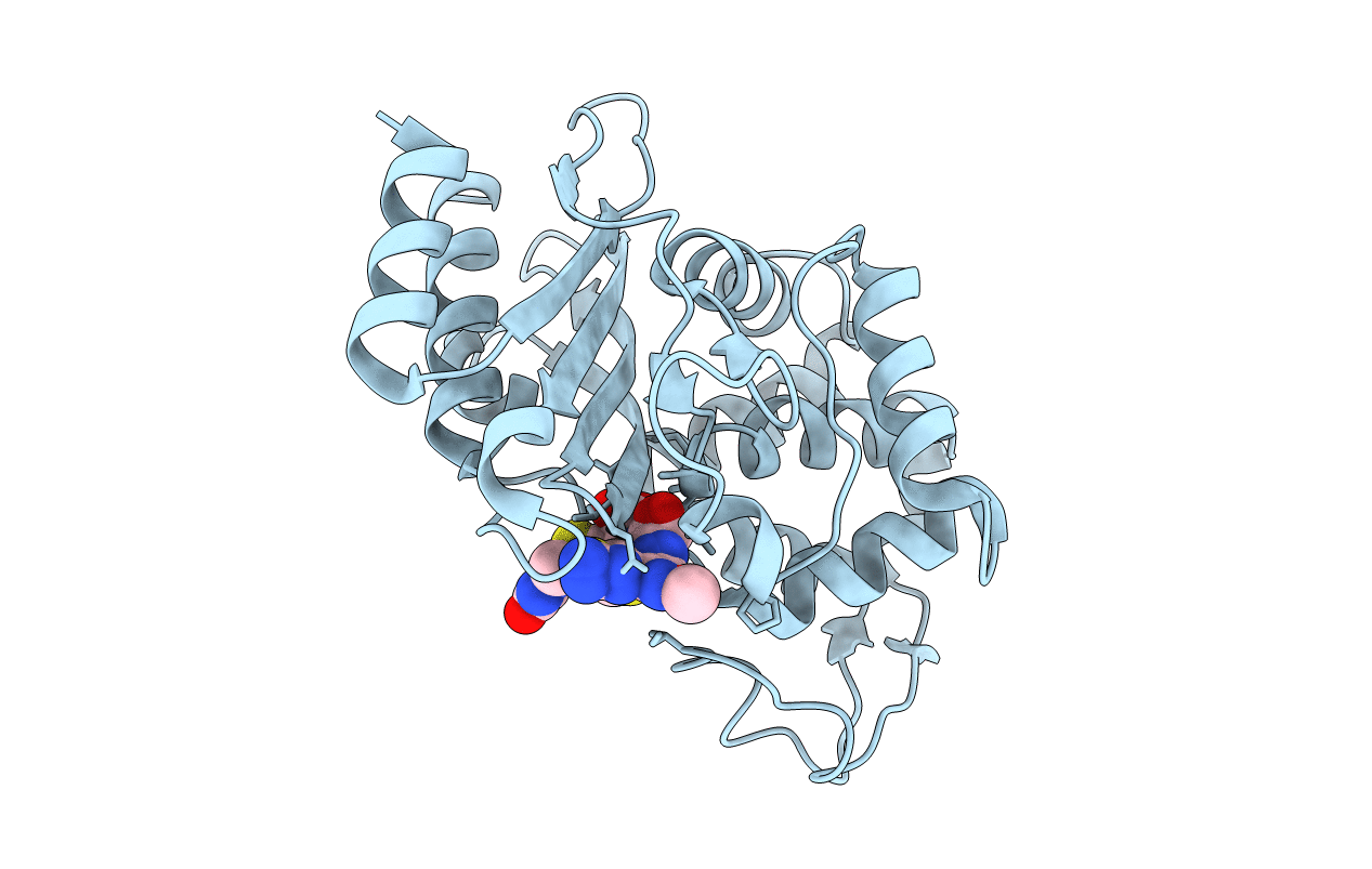 6B6E image