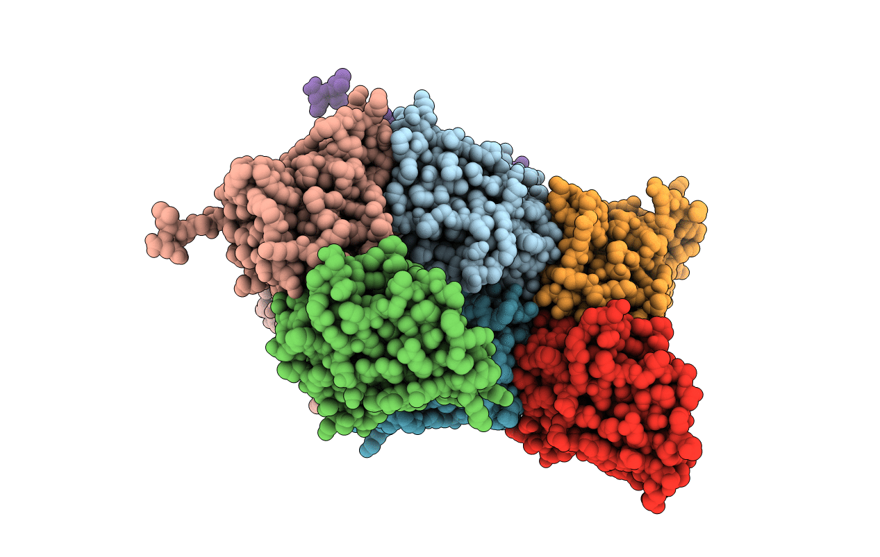 6B6I image