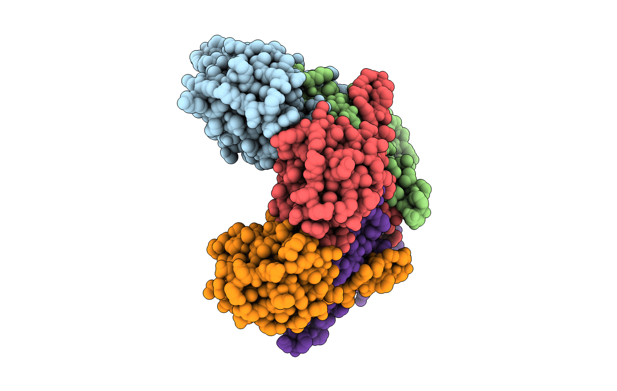 6B6M image