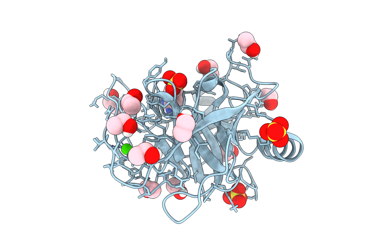 6B6S image