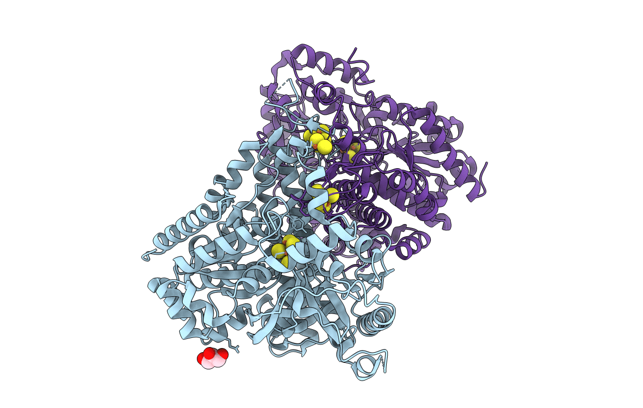 6B6Y image