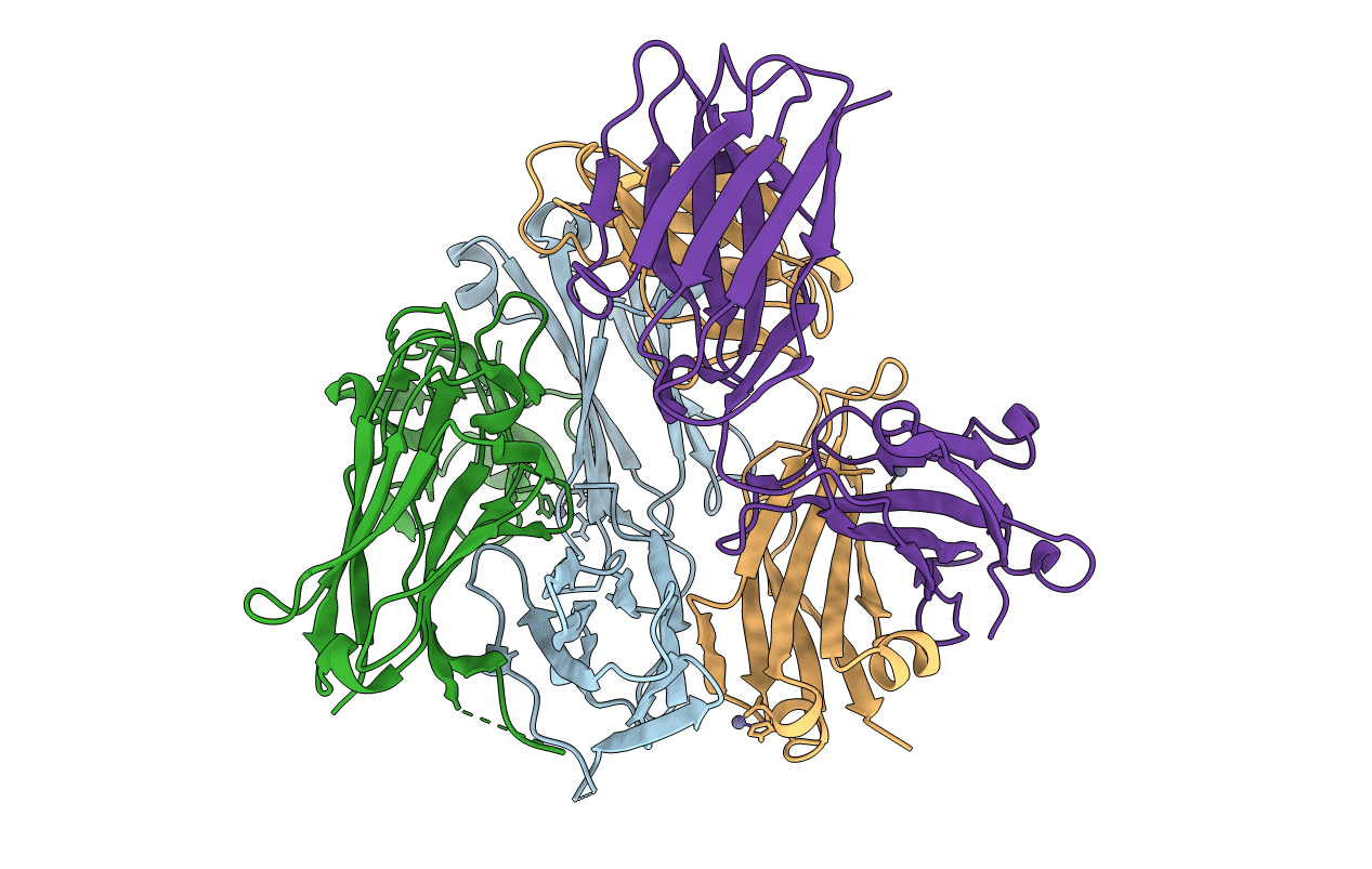 6B6Z image