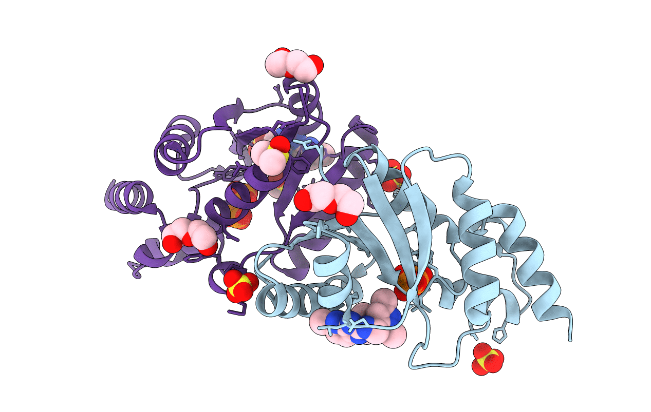 6B7C image
