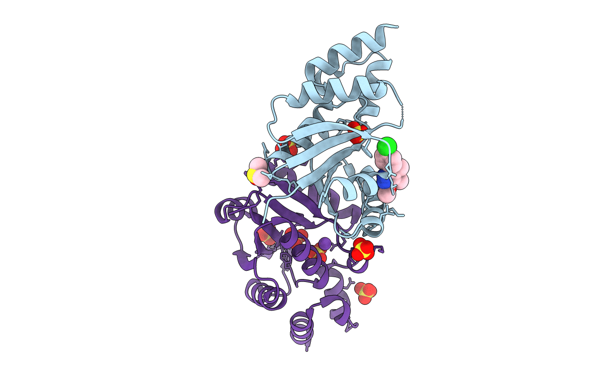 6B7D image