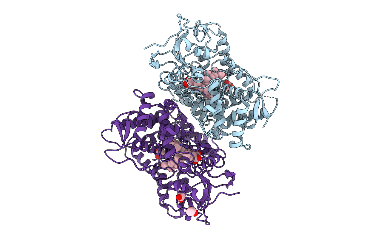 6B82 image