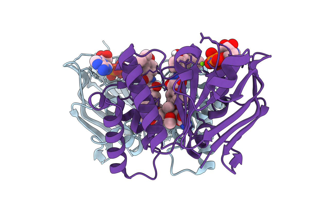 6B89 image