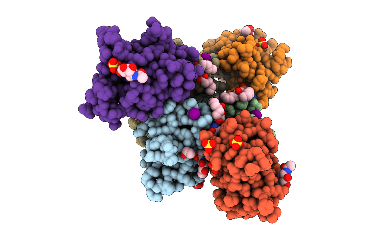 6B8O image