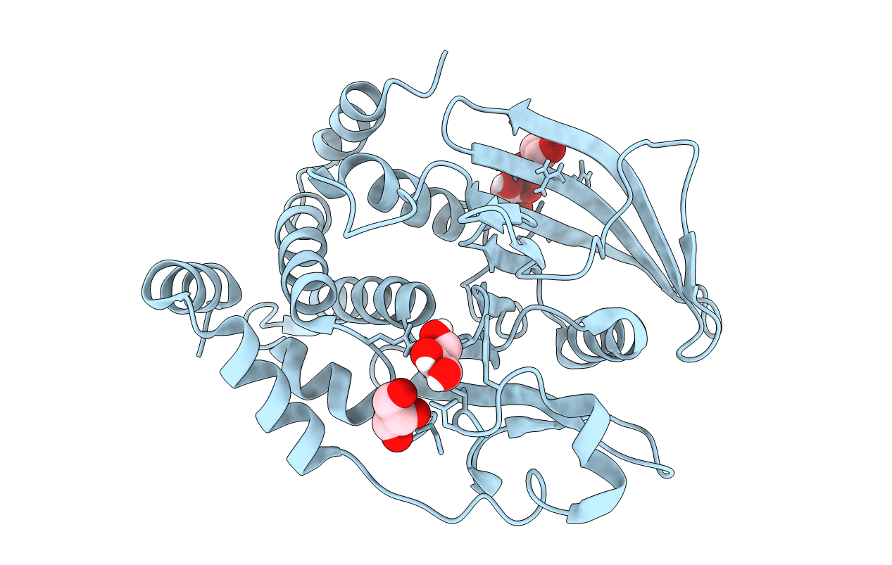 6B8X image