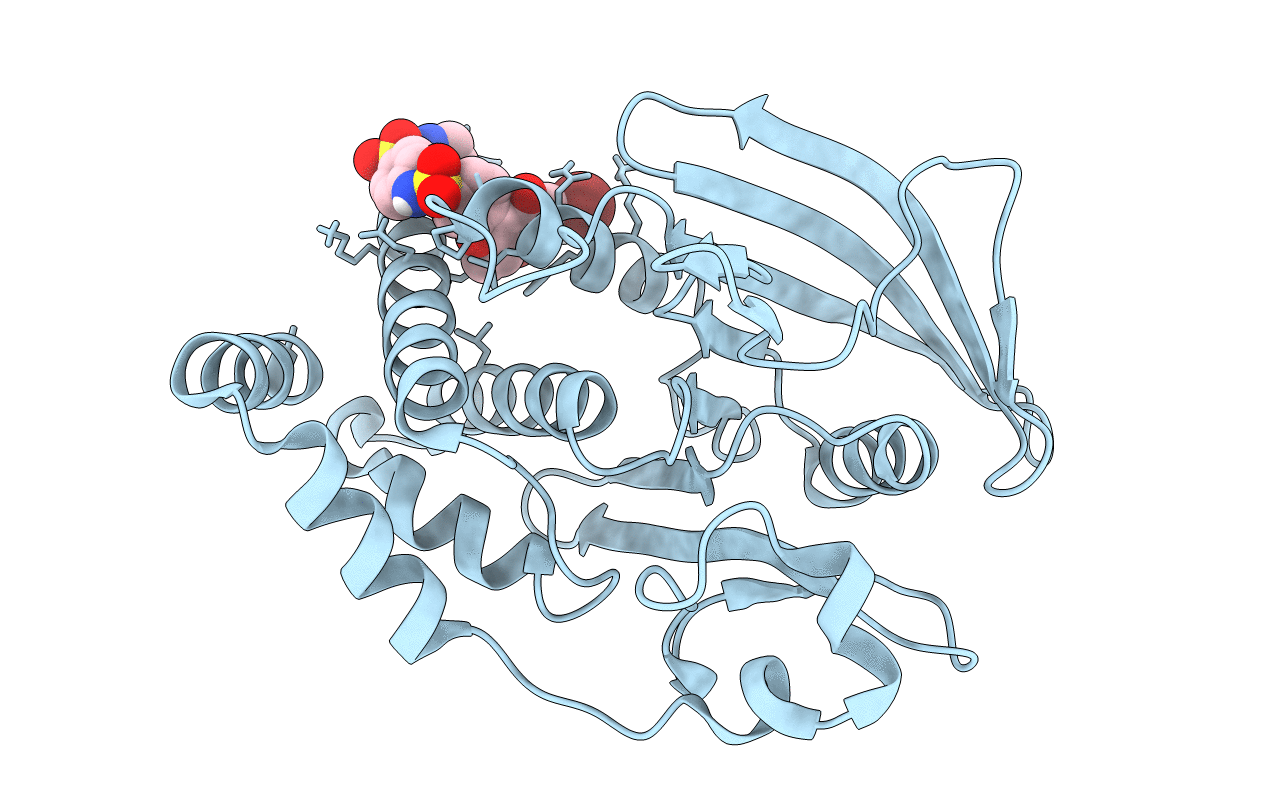 6B8Z image