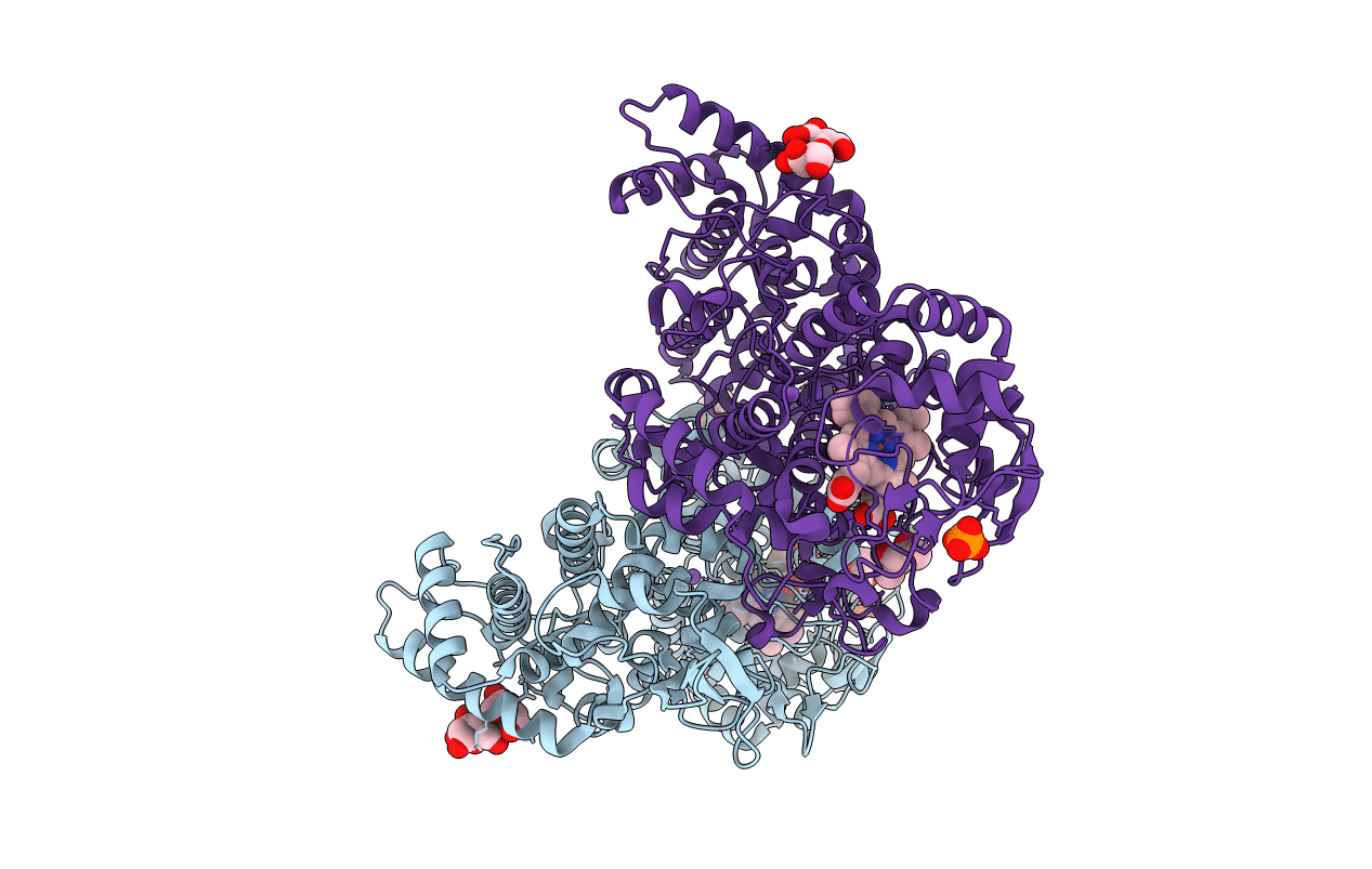 6B9B image
