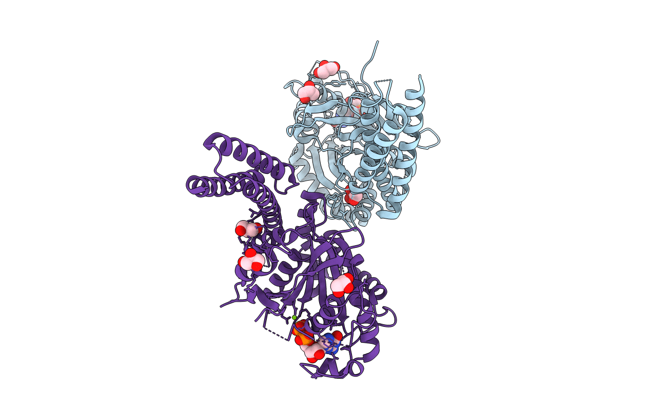 6B9D image