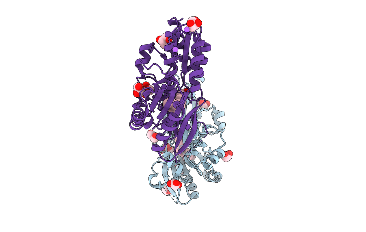 6B9I image