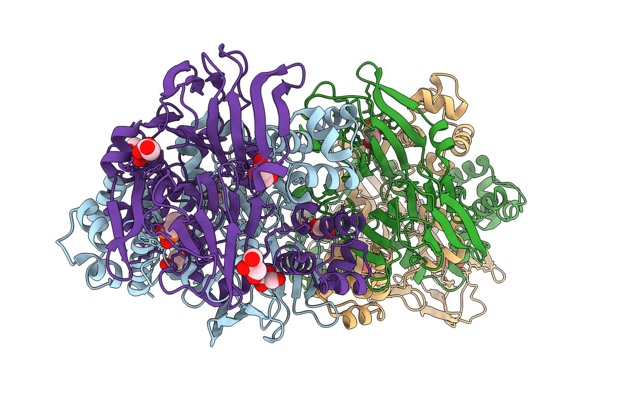 6B9R image