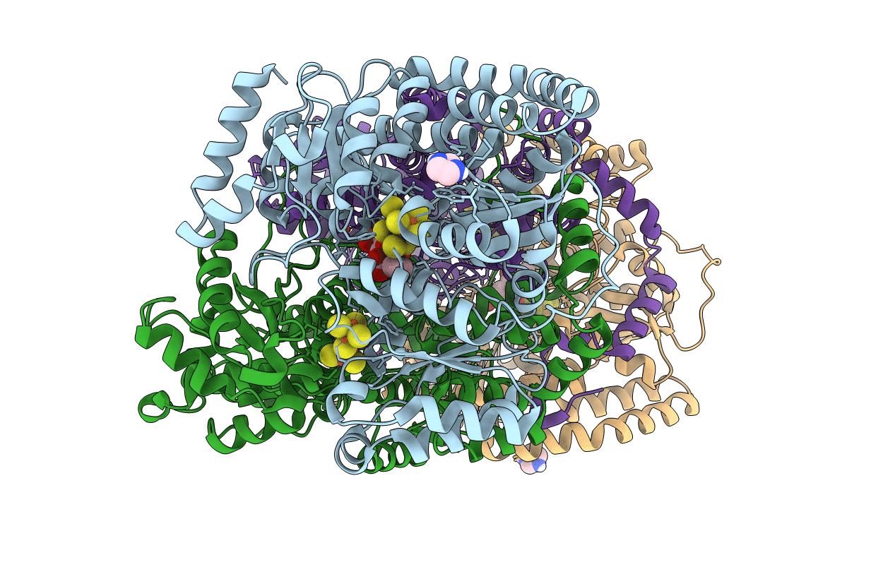 6BBL image