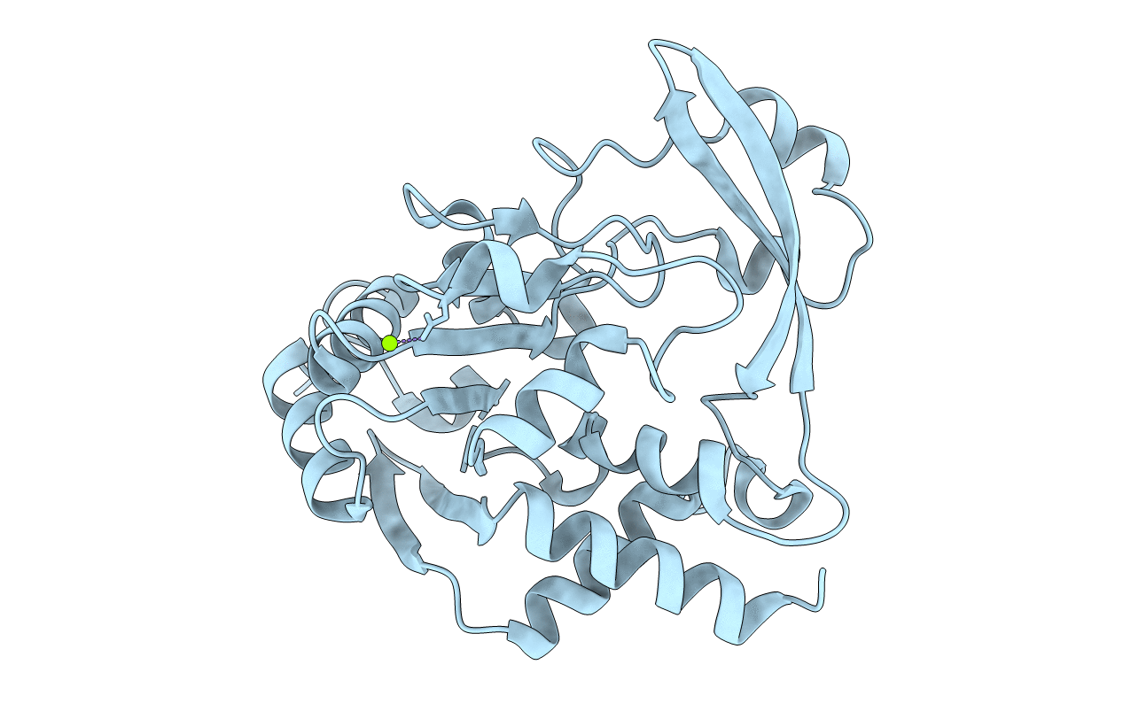 6BBR image