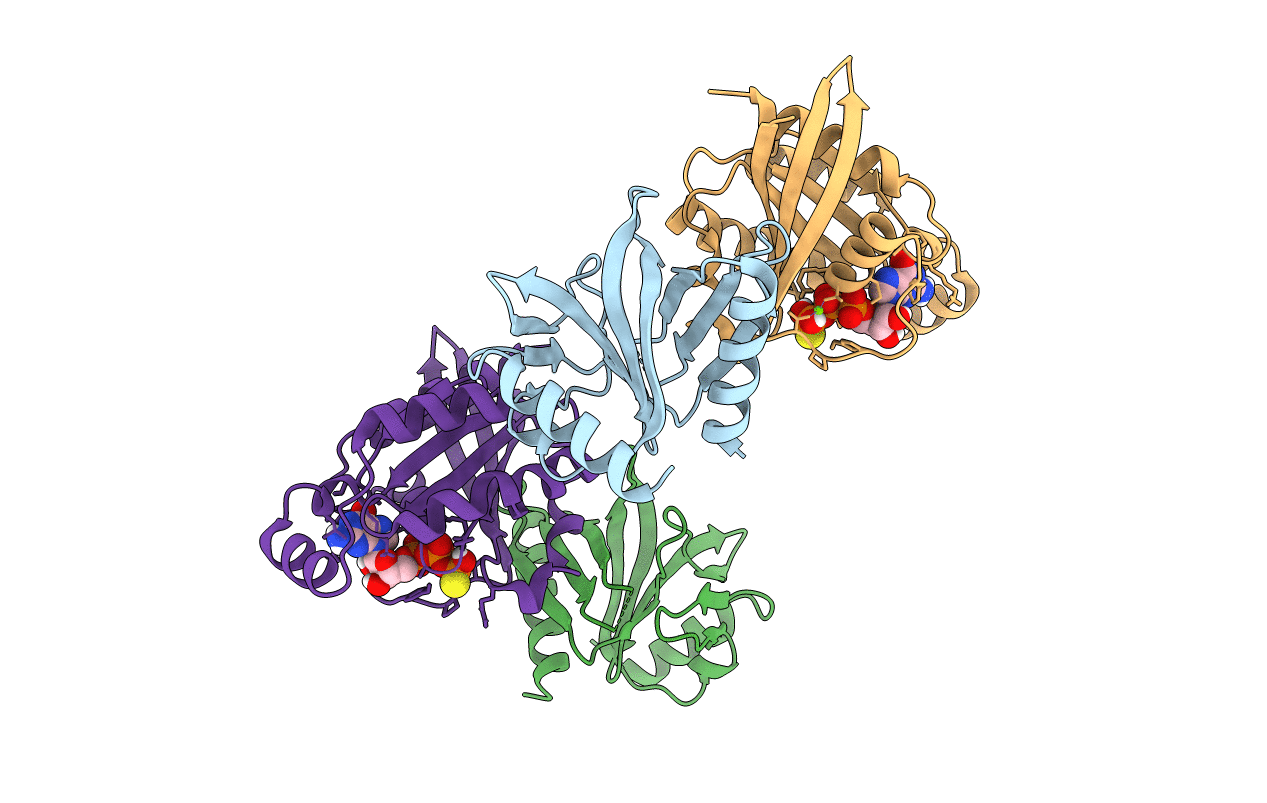 6BCA image