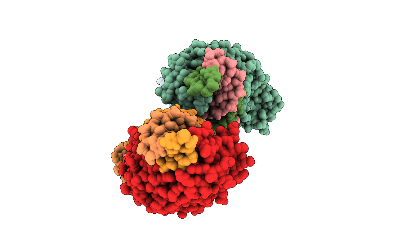 6BCN image