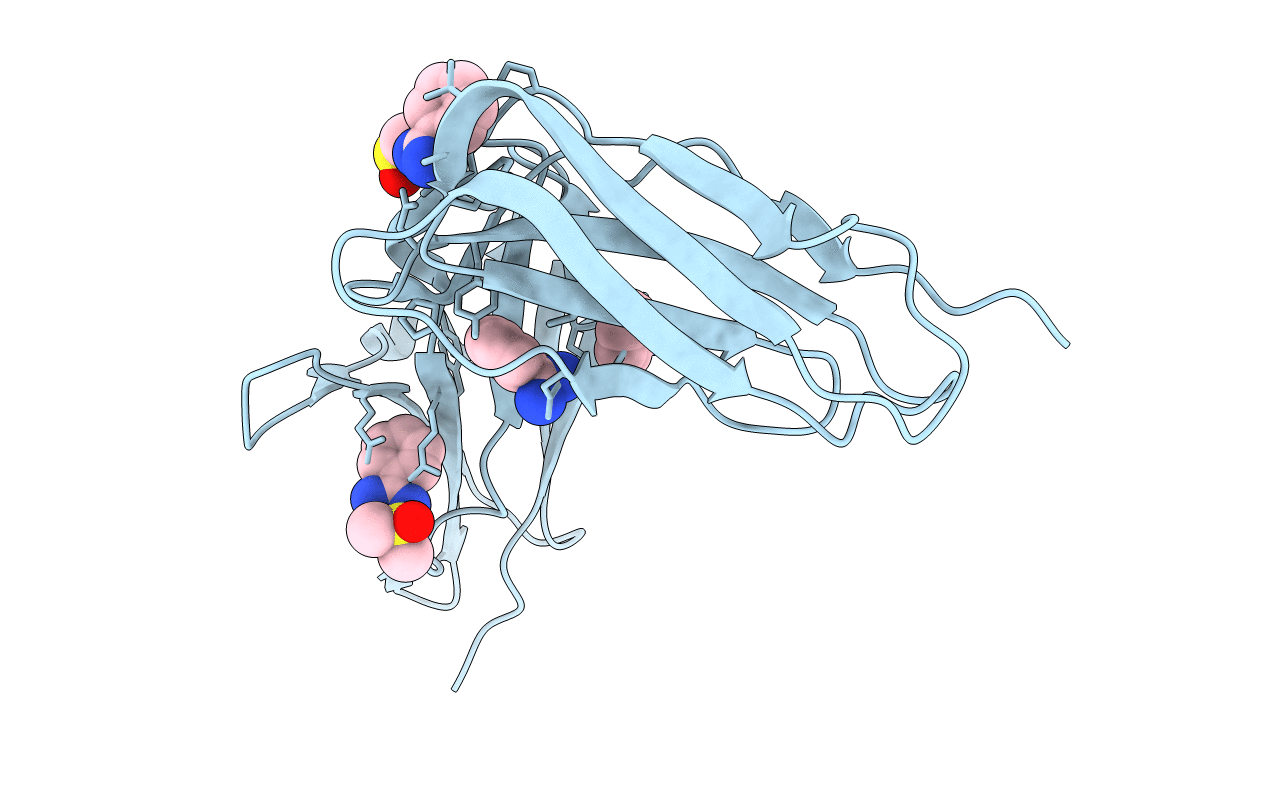 6BCS image