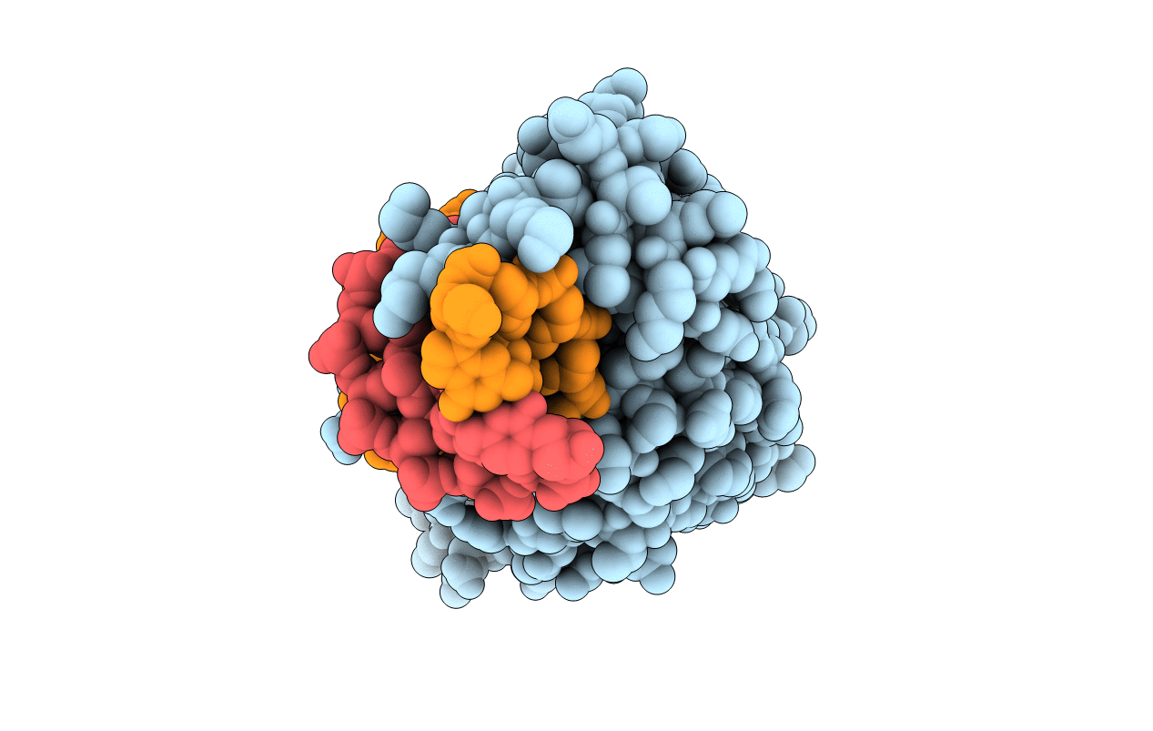 6BDA image