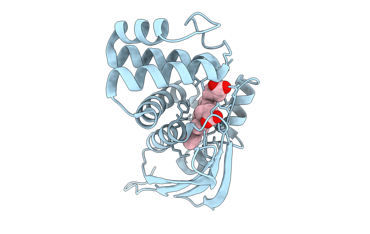 6BDD image