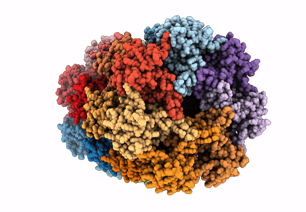 6BDF image