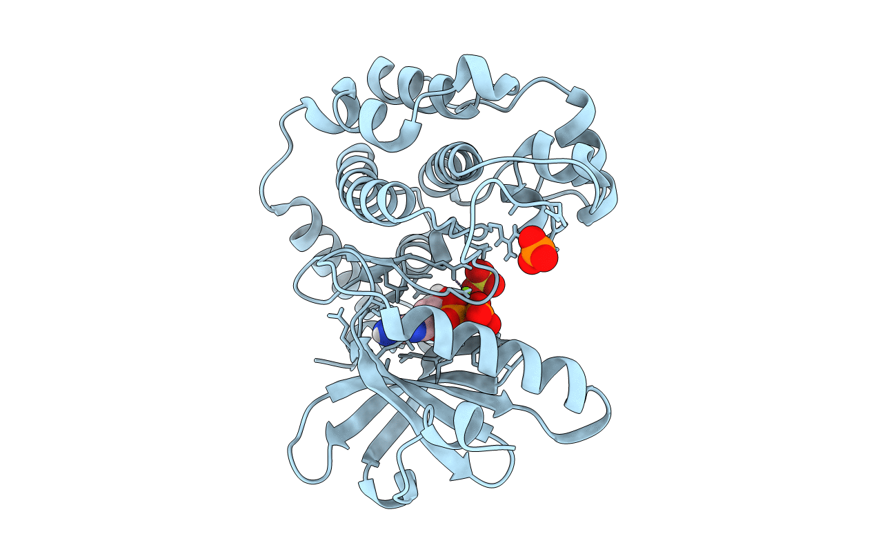 6BDN image