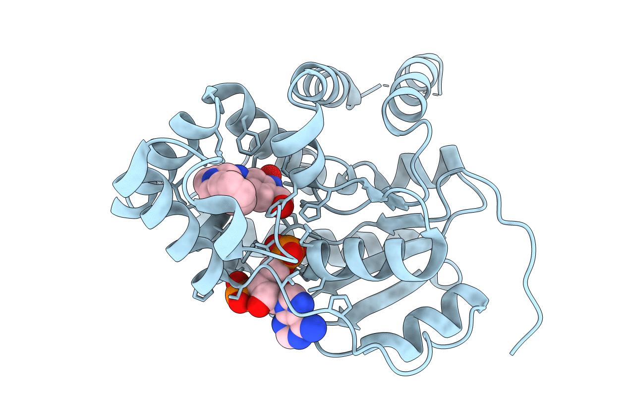6BDP image