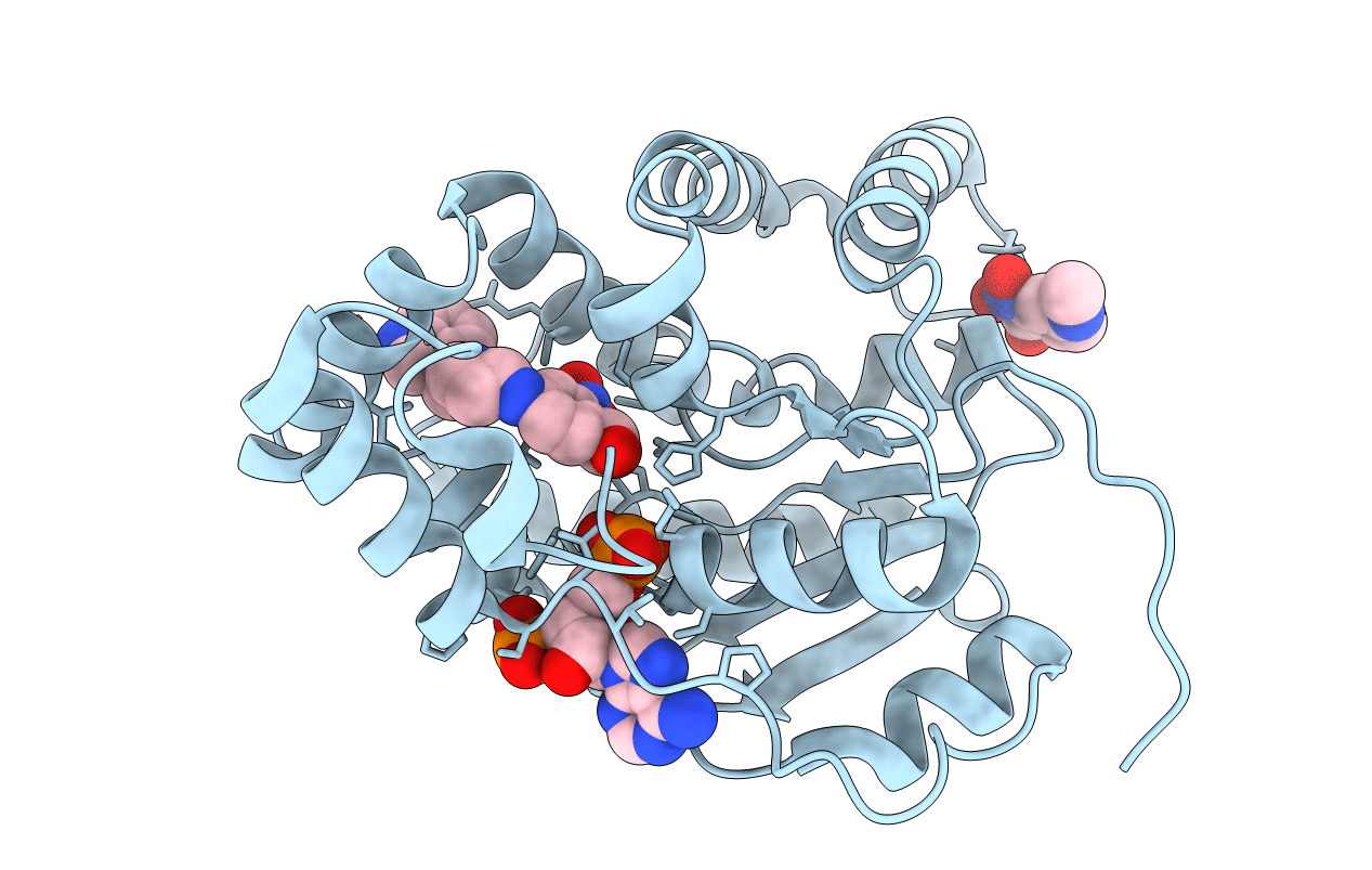 6BDR image